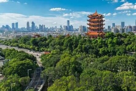 麻豆日记App是干啥的-麻豆日记App，记录生活点滴，打造个性化数字生活伴侣