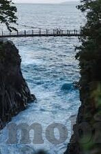日韩av在线网站观看-日韩AV在线资源，了解与理性对待